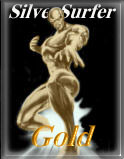 Silver Surfer 
Gold Award